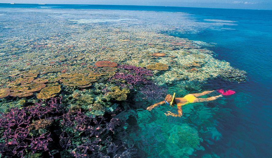 great barrier reef