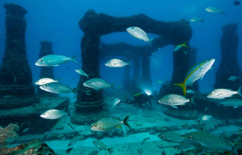 neptune memorial reef