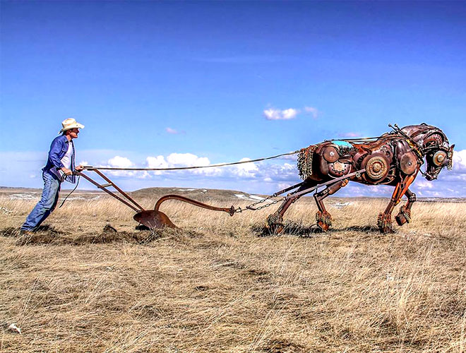 6---hose-plowing-the-field