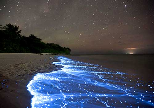 7---bioluminescent-water