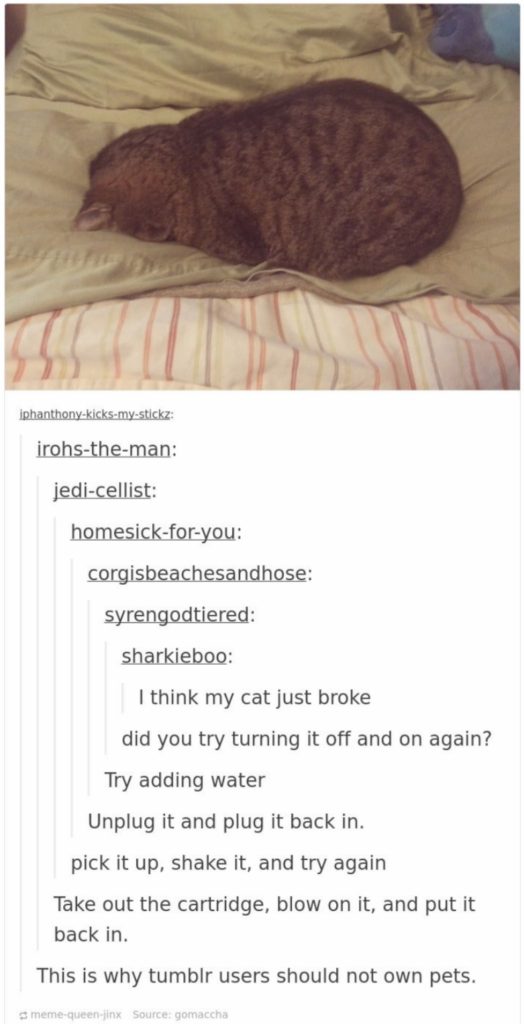 16 Funny Cat Posts on Tumblr are taking over Internet for some time now ...